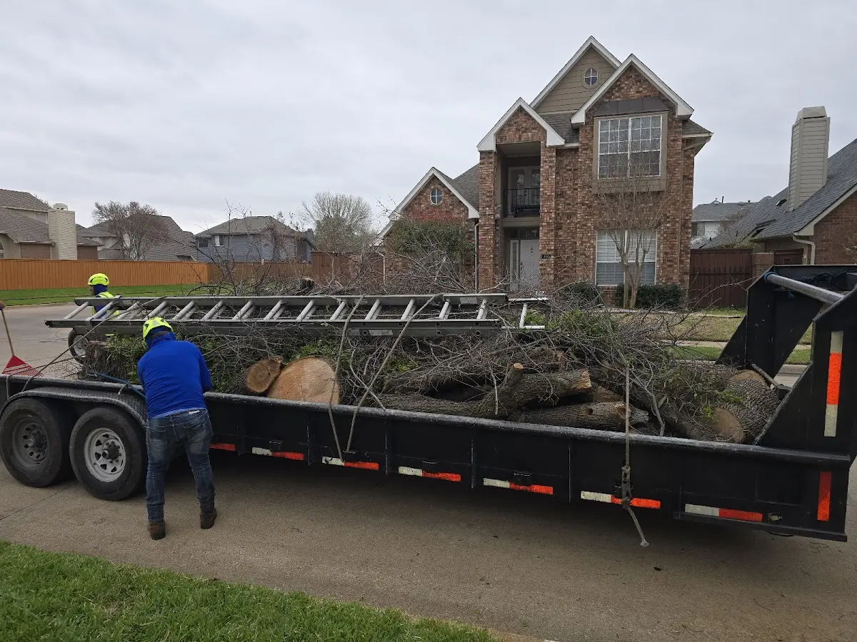 Expert Tree Fertilization with proper safety equipment in Cathay